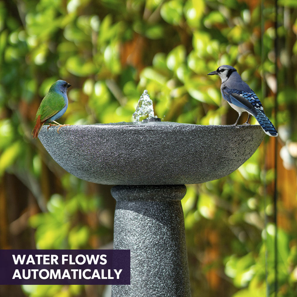 Protege Bird Bath Solar Water Feature Fountain, Contemporary Birdbath Design, with Panel Kit, LED Lights, Dark Grey