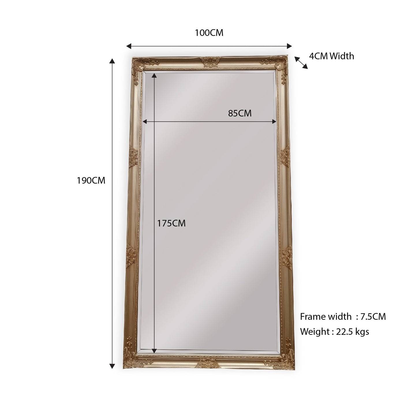 French Provincial Ornate Mirror - ANTIQUE CHAMPAGNE - X Large 100cm x 190cm